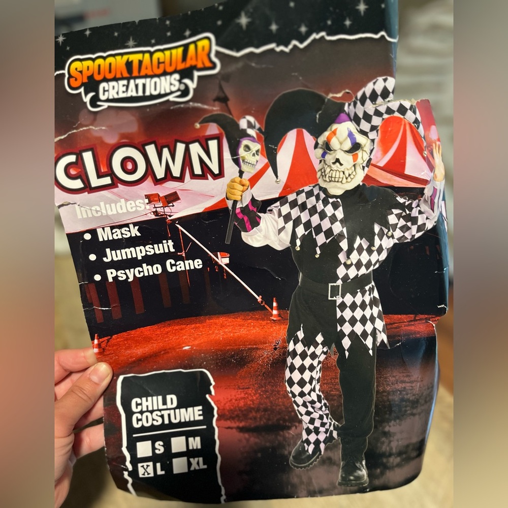 Clown costume with mini jester cane. youth LG